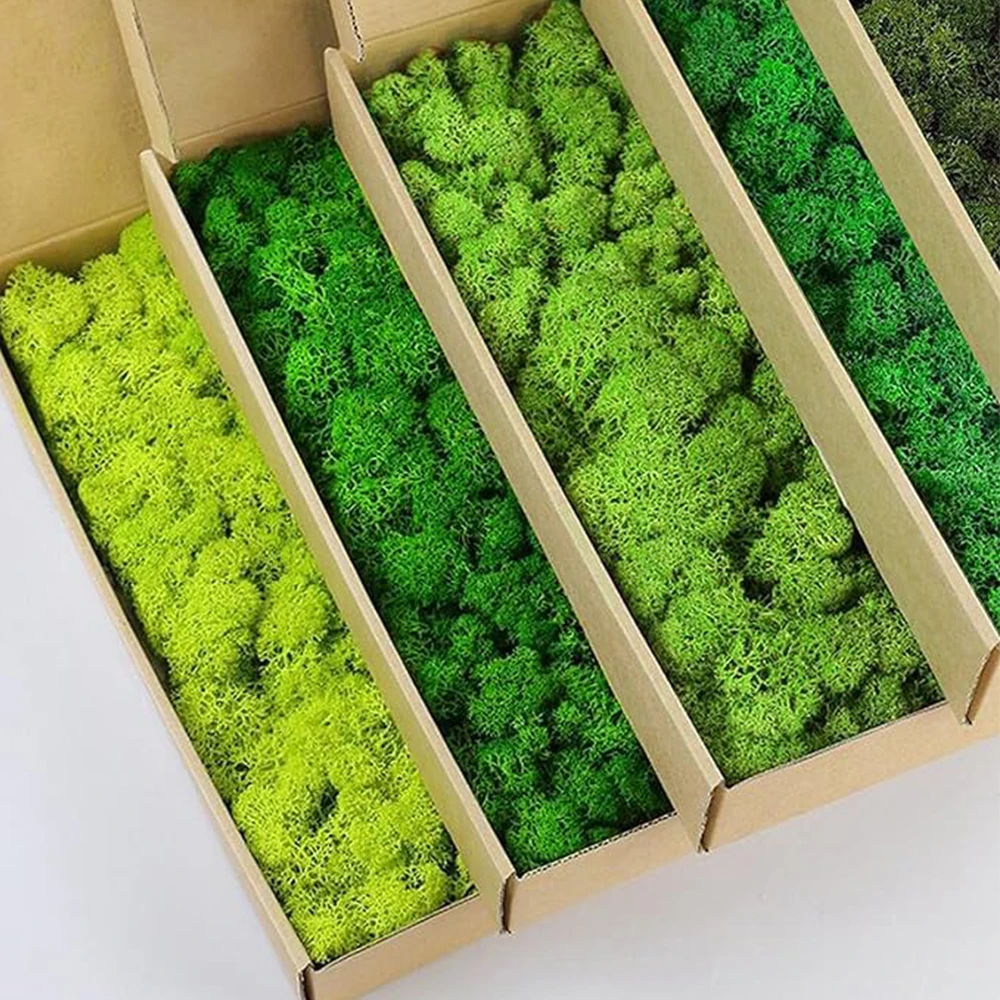 Terrarium Moss Art - 20–200 g künstliche grüne Pflanzen, Kunstgras,