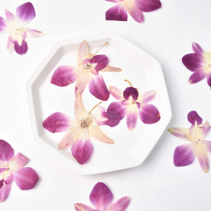 Resin Craft Ideas - 4 Stück, Echte Gepresste Schmetterlingsorchideen-Blüten für