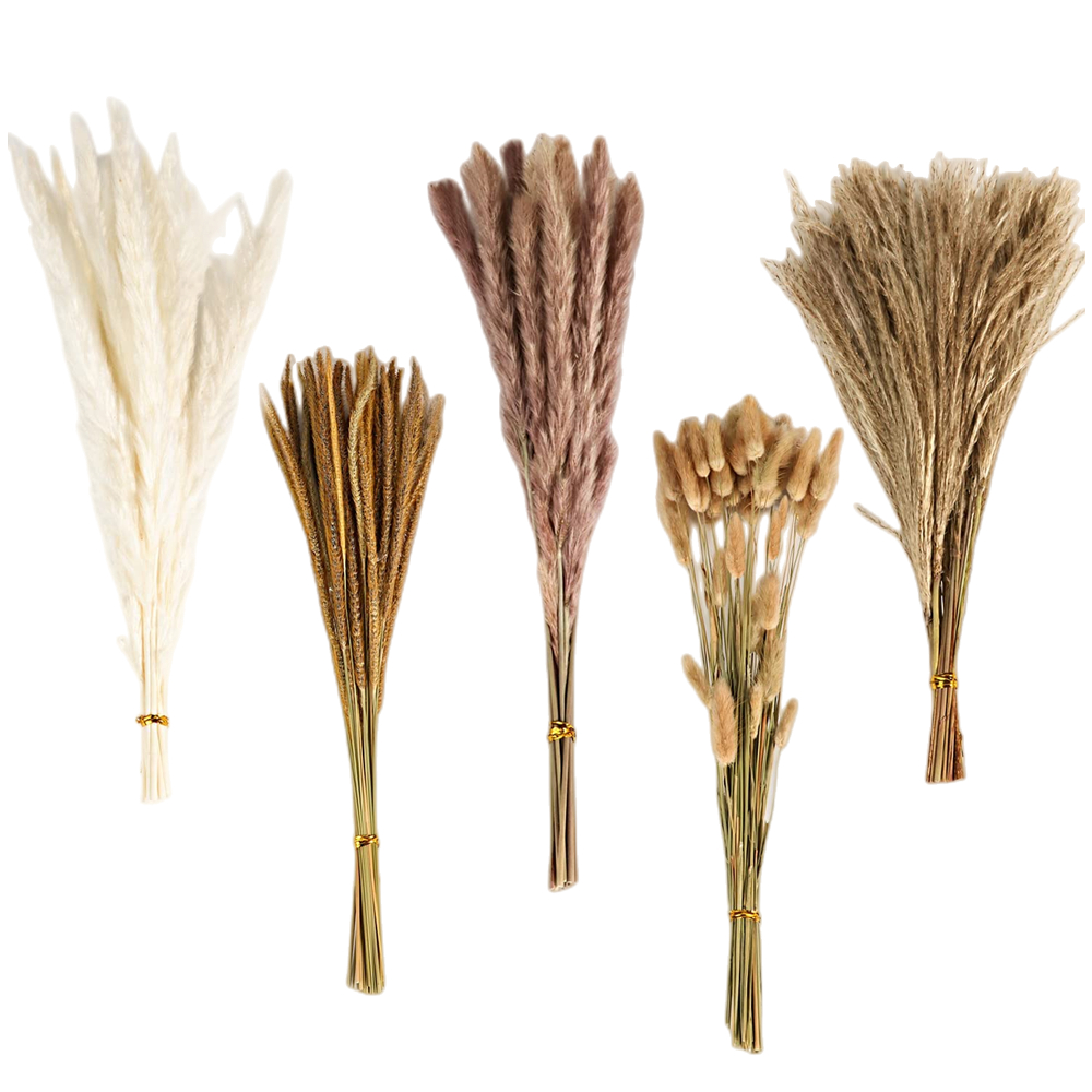 Dried Flower Bulk - Herbstlicher Vintage-Mischblumenstrauß, Pampasgras, Hasenschwanzgras & konservierter