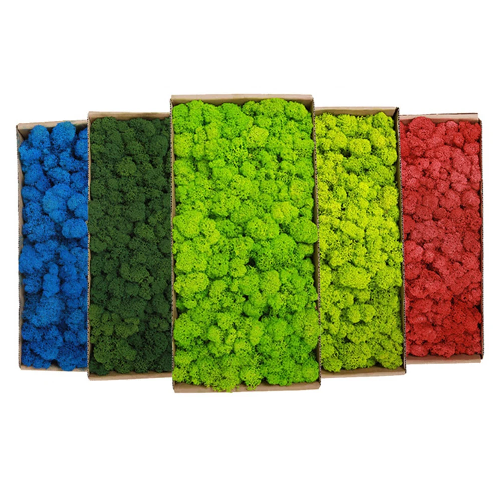 20–200 g künstliche grüne Pfla – Terrarium Moss Art Bewertung und Preis