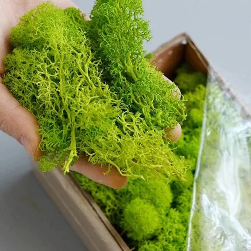 20–200 g künstliche grüne Pfla – Terrarium Moss Art Bewertung und Preis