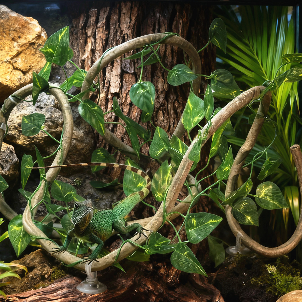 Für Eidechsen-Terrarium, Tierh – Terrarium Moss Art Bewertung und Preis