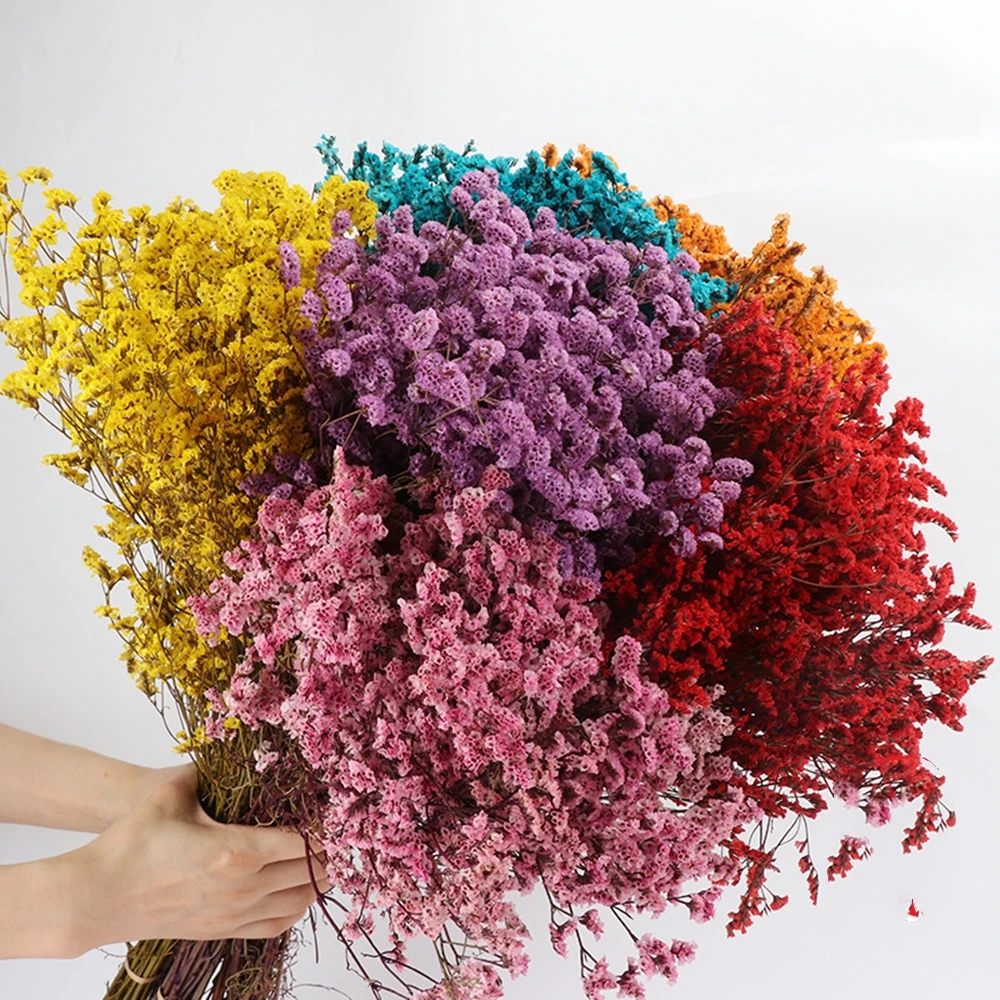 Echte Kristall-Trockenblumen,  – Dried Flower Bulk Bewertung und Preis