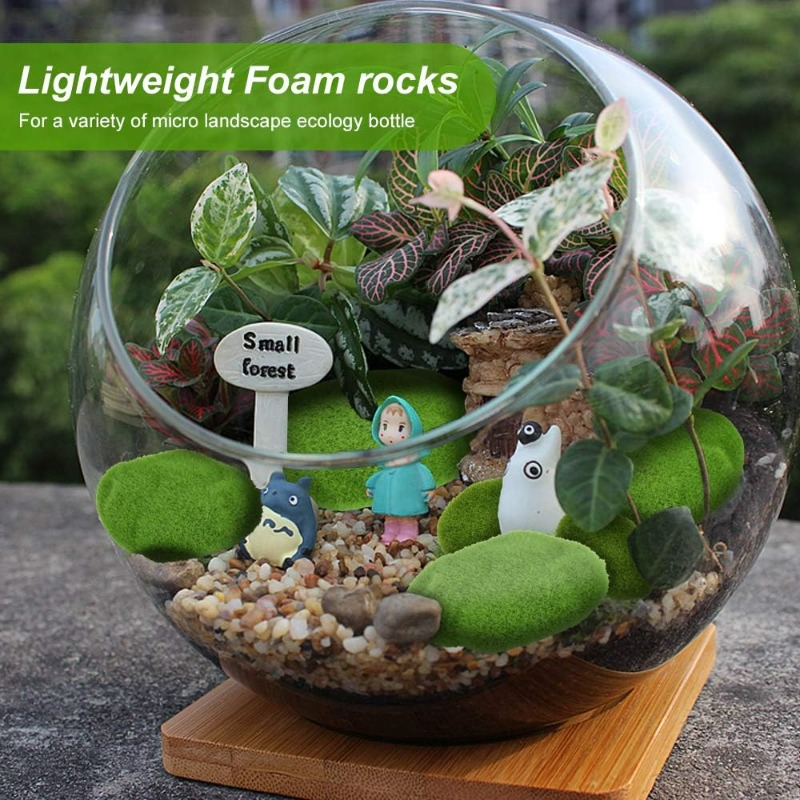 50/5 Stück Künstliche Schaumst – Terrarium Moss Art Bewertung und Preis