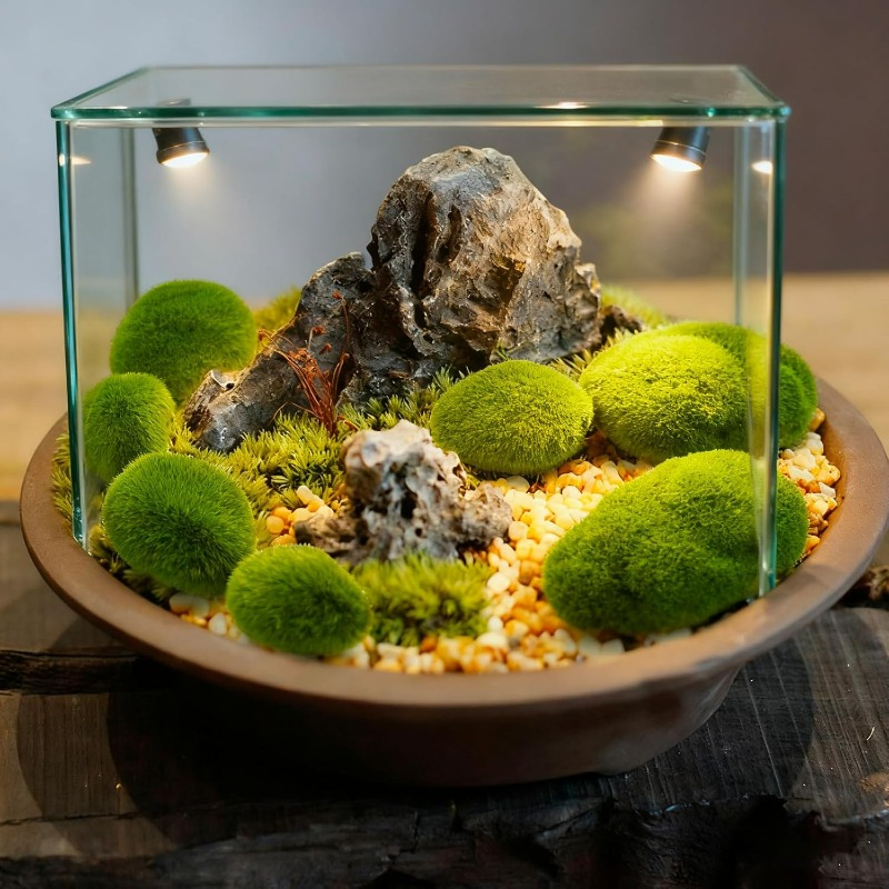 50/5 Stück Künstliche Schaumst – Terrarium Moss Art Bewertung und Preis