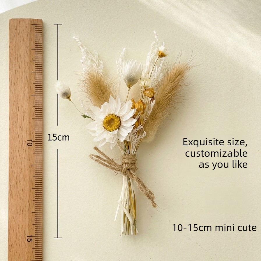 Mini Trockenblumenstrauß Natür – Dried Flower Bulk Bewertung und Preis