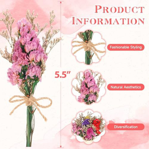 Mini Trockenblumenstrauß Natür – Dried Flower Bulk Bewertung und Preis