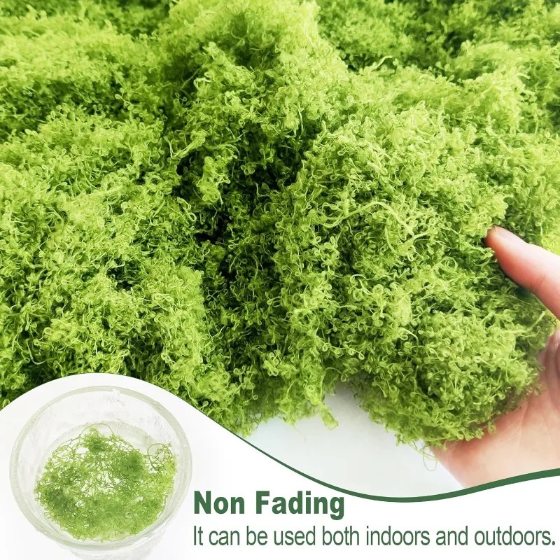 Künstliche Grünpflanzen, Ewige – Terrarium Moss Art Bewertung und Preis