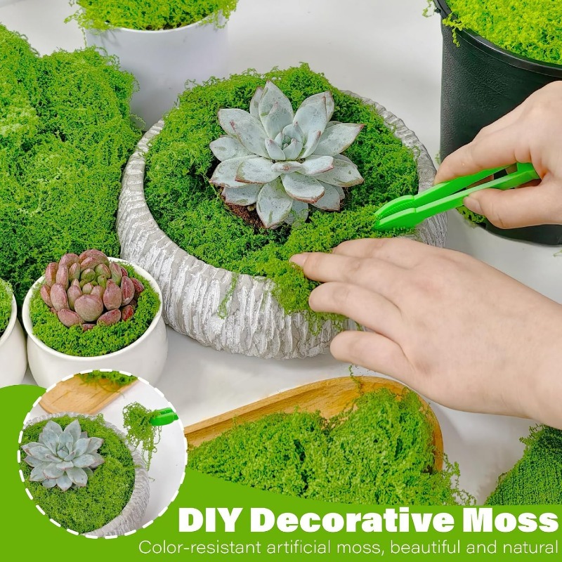 Künstliche Grünpflanzen, Ewige – Terrarium Moss Art Bewertung und Preis